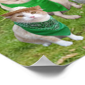 Poster Citation de St. Francis (Coin)