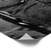 Poster Citation de Tenderest Lover Whitman (Coin)