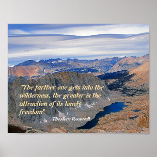 Poster Citation de Theodore Roosevelt