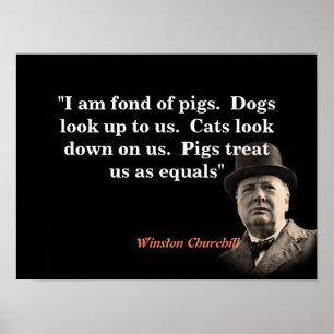 Poster Citation De Winston Churchill Sur Les Cochons