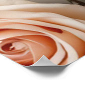 Poster Citation d'histoire d'amour avec Rose (Coin)