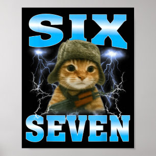 Poster Citation drôle 67 Chats Mal au ventre Survivant Mè