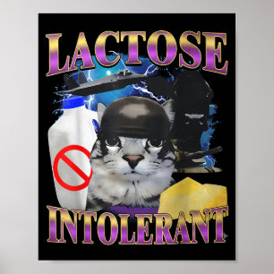 Poster Citation drôle Chat idiot intolérant au lactose Mè