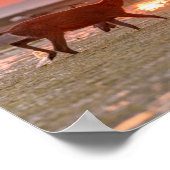 Poster Citation du coucher de soleil de Gandhi (Coin)