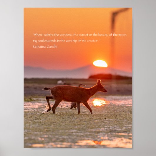 Poster Citation du coucher de soleil de Gandhi (Devant)