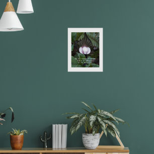 Poster Citation du Plante Jack-in-the-Pulpit Aristote Nat