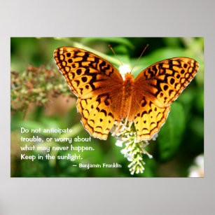 Poster Citation Inspirant Conserver dans le Papillon oran