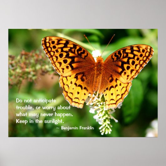 Poster Citation Inspirant Conserver dans le Papillon oran (Devant)
