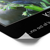 Poster Citation Inspirationnelle Bébé (Coin)