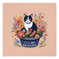 Citation Inspirationnelle de chat amusant
