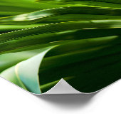 Poster Citation Inspirationnelle de Lewis Cass "Doute" (Coin)