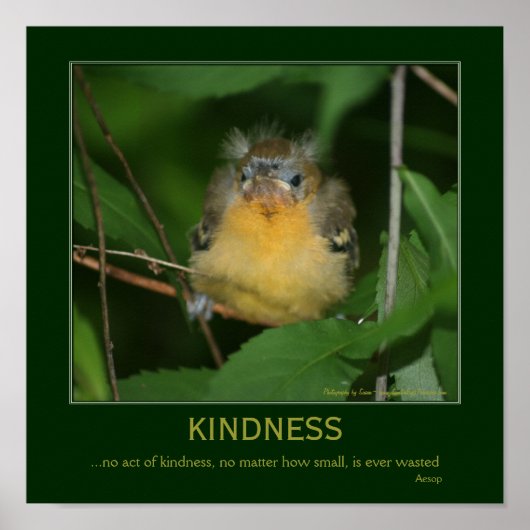 Poster Citation Inspirationnelle Kindness Baby Oriole (Devant)