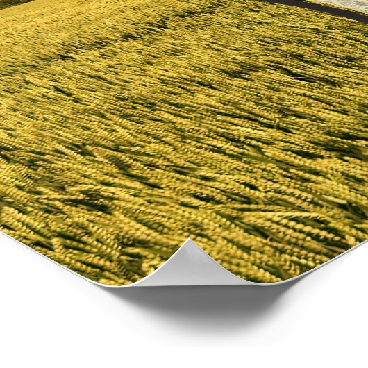 Poster Citation Inspirationnelle Mahatma Gandhi "En direc (Coin)