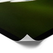 Poster Citation Lao Tzu Ladybug Daisy Inspiration Motivat (Coin)