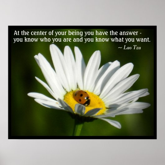 Poster Citation Lao Tzu Ladybug Daisy Inspiration Motivat (Devant)
