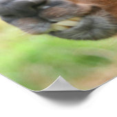 Poster Citation Llama Anger Inspiration (Coin)