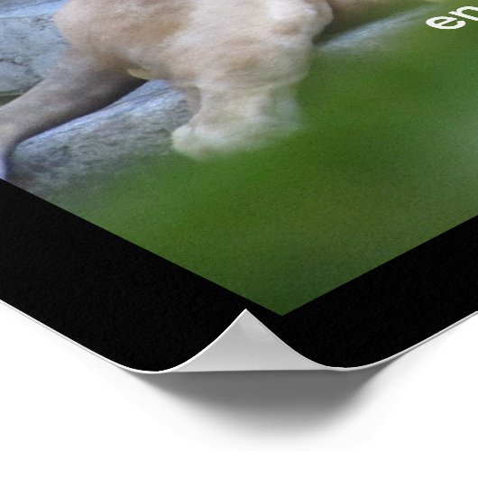 Poster Citation Motivationnelle Courage Coeur Lion (Coin)