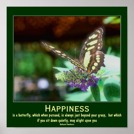 Poster Citation Motivationnelle du papillon de bonheur (Devant)