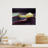 Poster Citation motivationnelle Persévérance (Cuisine)