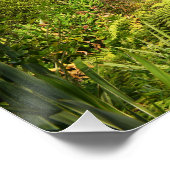 Poster Citation motivationnelle - Sintra Portugal (Coin)