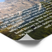 Poster Citation Motivationnelle Theodore Roosevelt (Coin)