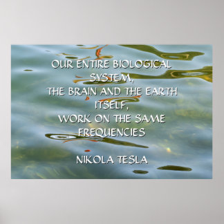 POSTER CITATION NIKOLA TESLA - MÊMES FRÉQUENCES -