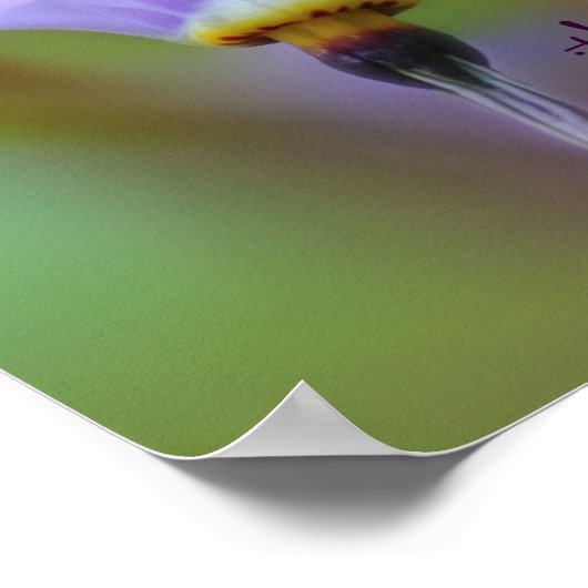 Poster Citation Perception Fleur violet Inspiration (Coin)