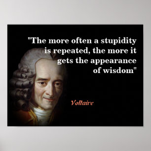 Poster Citation Voltaire Sur La Stupidité Et La Sagesse