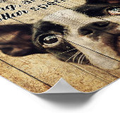 Poster Citations amusantes sur Boston Terrier présent (Coin)