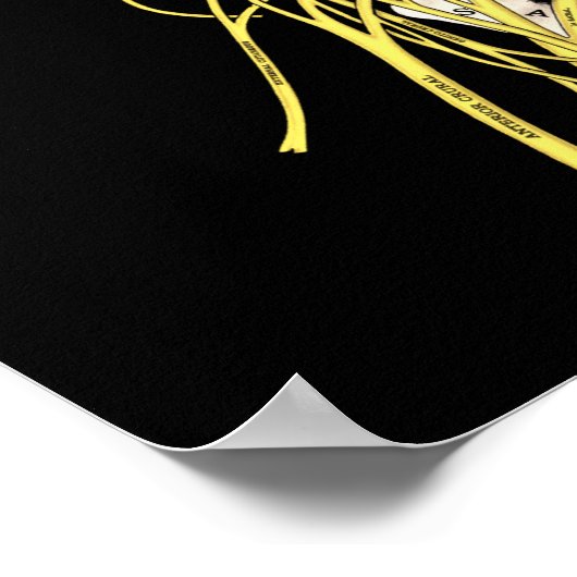 Poster Citations Chiropratique et Discours Système nerveu (Coin)