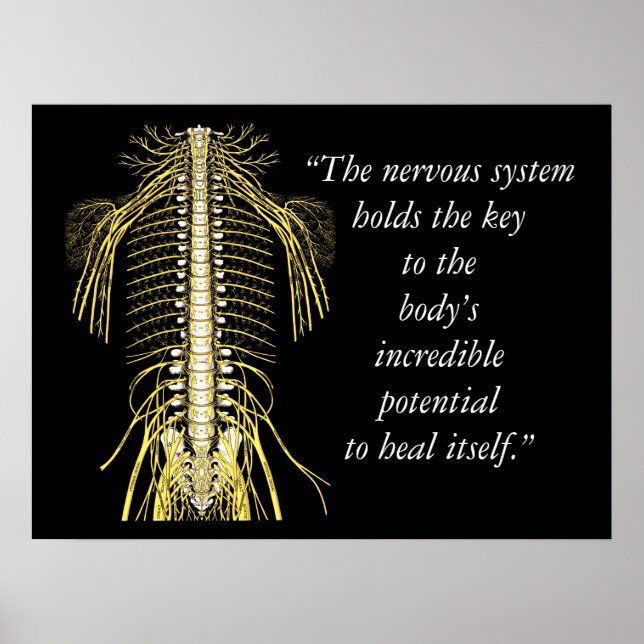 Poster Citations Chiropratique et Discours Système nerveu (Devant)