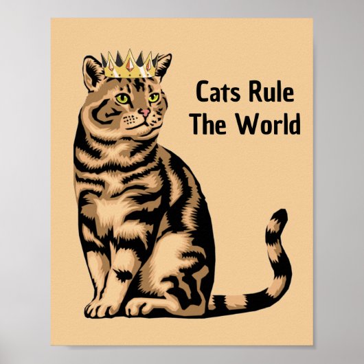 Poster Citations de chat orange (Devant)