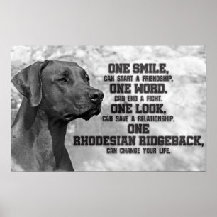 Poster Citations de Rhodesian Ridgeback