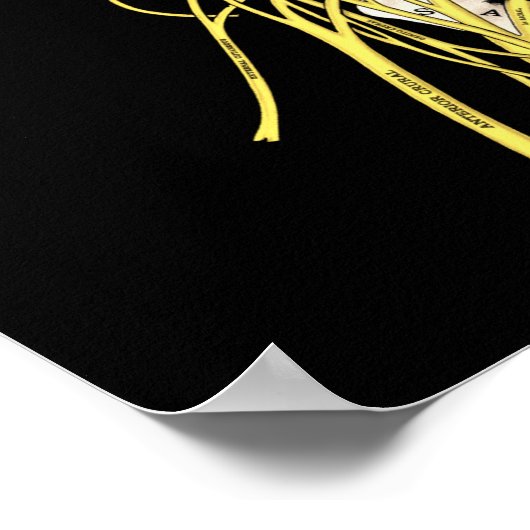 Poster Citations et déclarations chiropratiques Customisé (Coin)