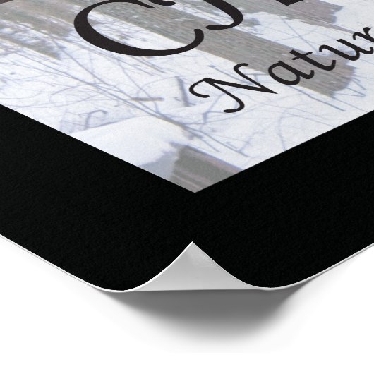 Poster Citations et déclarations de chiropratique Nature (Coin)