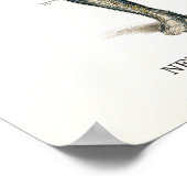 Poster Citations et déclarations de santé chiropratique (Coin)