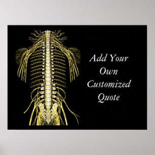 Poster Citations et énonciations de chiropractie