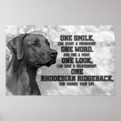 Poster Citations Rhodesian Ridgeback (Devant)