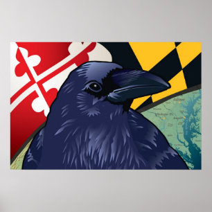 Poster Citoyen Raven, le Jammore du Maryland