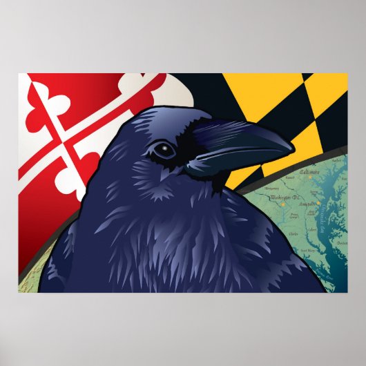 Poster Citoyen Raven, le Jammore du Maryland (Devant)