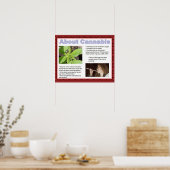 Poster Citoyenneté, compétences de la vie, dites simpleme (Cuisine)