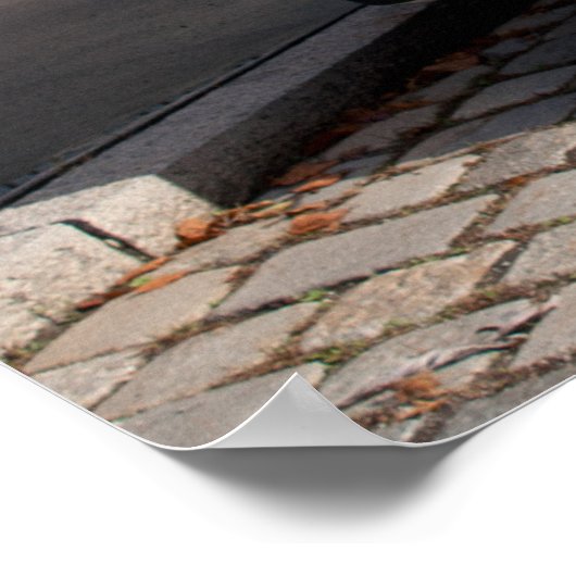 Poster Citroen Type H Van (Coin)