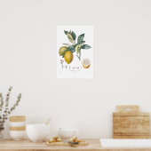 Poster Citron (Cuisine)