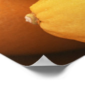 Poster Citron (Coin)