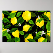 Poster Citron Aquarelle 2 (Devant)