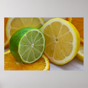 Poster Citron, chaux et orange