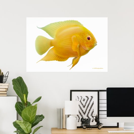 Poster Citron Gold Severum Cichlid Imprimer (Bureau à domicile)