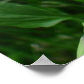 Poster citron jaune (Coin)