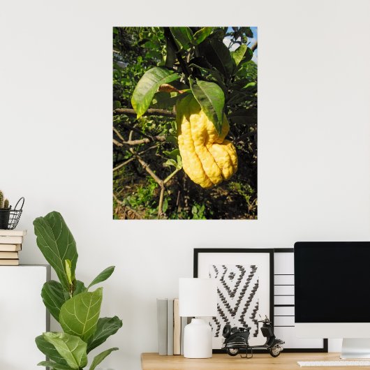 Poster Citron main de Bouddha (Bureau à domicile)