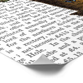 Poster Citronnier (Coin)